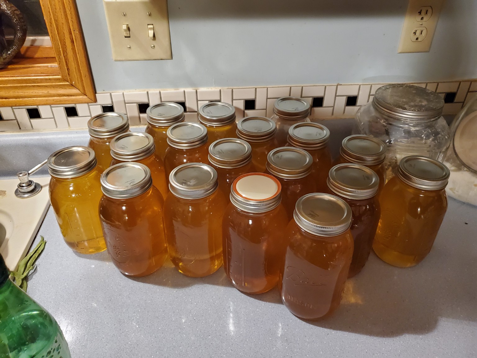 Rows of glass honey jars on a counter