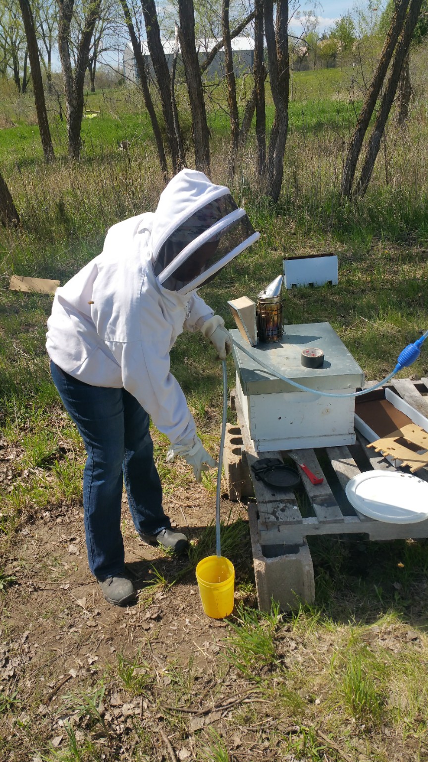 A beekeeper working beside stacked hive boxes