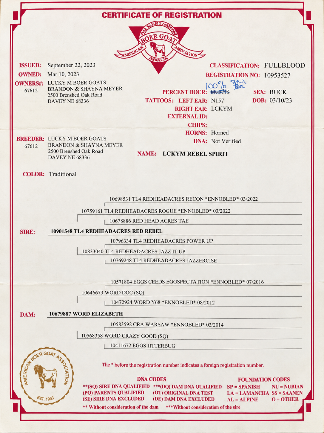 Enhanced registration certificate for LCKYM Rebel Spirit, classified as fullblood Boer